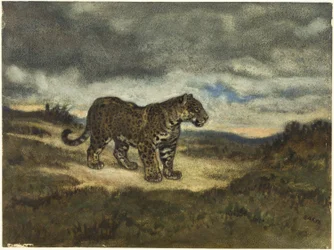 Jaguar debout