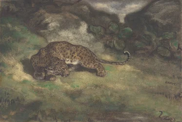 Léopard et serpent