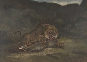 Lion dévorant une proie