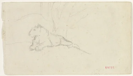 Lionne couchée près d
