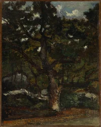 Partie dans la forêt de Fontainebleau