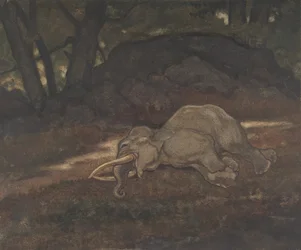 Éléphant endormi
