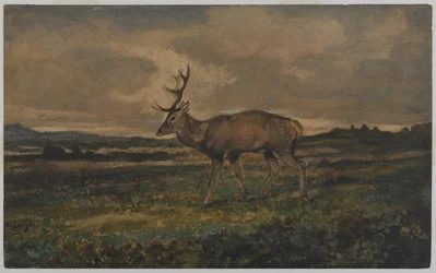Cerf marchant