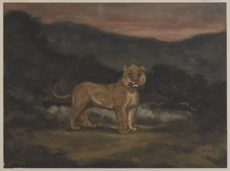 Lionne debout