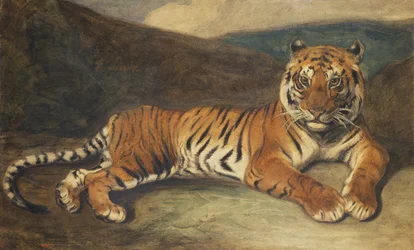 Tigre allongé