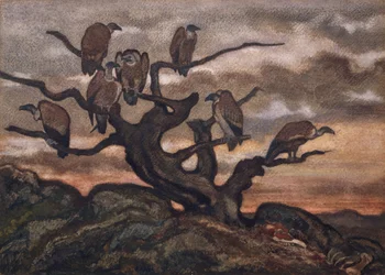 Vautours sur un arbre