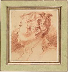 Étude de la tête d