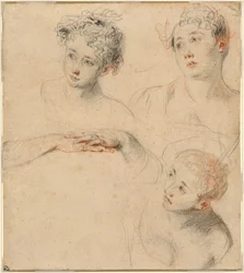 Trois études de tête de femme et une étude de mains [recto]