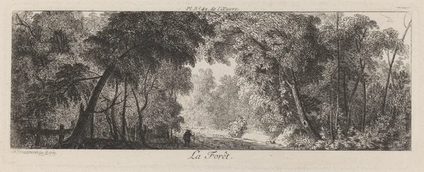 La forêt