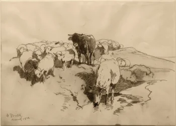 Vaches et moutons