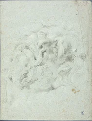 Tête du groupe Laocoon