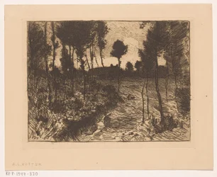 Chemin forestier au crépuscule