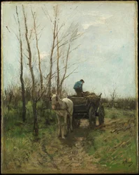 Ramasser du bois