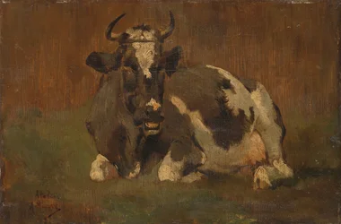Vache couchée