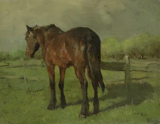 Cheval