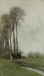 Chevaux près de la clôture