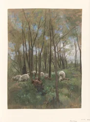 Troupeau de moutons dans une forêt
