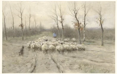 Troupeau de moutons sur la lande près de Laren