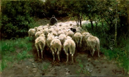 Moutons dans la forêt, XIXe siècle