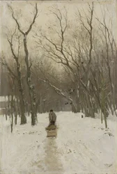 Hiver dans les bois de Scheveningen