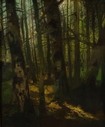 Clairière de forêt