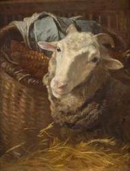 Un mouton
