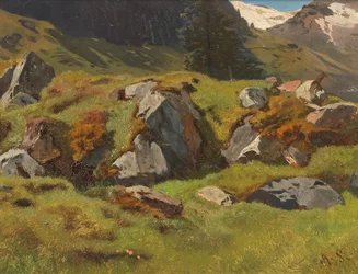Étude des roches à Ferleiten