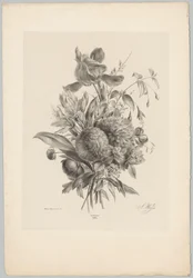Œillets et lys (série: Études de fleurs et de fruits, 10e livraison)