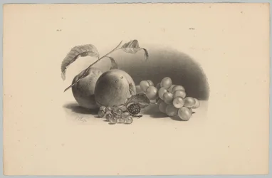 Pommes, baies, mûre et raisins (3e épisode de la série 