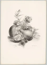 Fleurs, pommes, poire, grenade et mûres (série: Études de fleurs et de fruits, 10e livraison)
