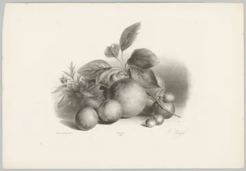 Fleurs, nectarines et noisettes (Bloem en Fruit Studien, 10e aflevering)