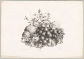 Fleurs, pêche, nectarine, raisins et mûres