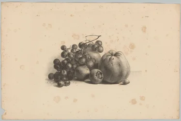 Raisins et pommes
