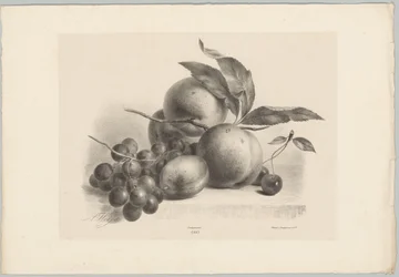 Raisins, prune, pêches et cerises