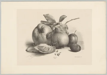 Fruits, prunes et huîtres (Bloem en Fruit Studien, 10e aflevering)