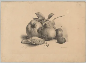 Fruits, prunes et huîtres (série Bloem en Fruit Studien, 10e épisode)