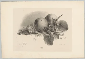 Pêches, baies, noisettes et mûres (Bloem en Fruit Studien, 10e aflevering)