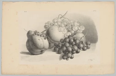 Citrouille, baies, raisins et pêches