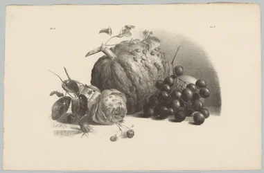 Citrouille, raisins, rose et fraises (Bloem en Fruit Studien, 3ème livraison)