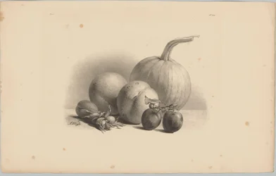 Citrouille, pêches, abricot, prunes et noisettes (3e épisode de la série 
