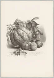 Citrouille, tomates et cerises