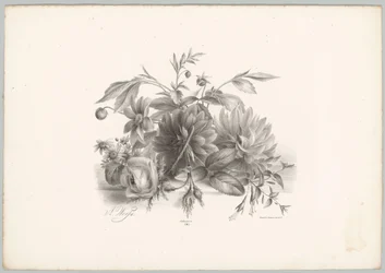 Roses, dahlias et fuchsias (Bloem en Fruit Studien, 10e aflevering)