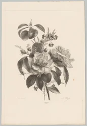 Roses et autres fleurs (série: Études de fleurs et de fruits, 10e livraison)