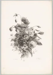 Roses et autres fleurs