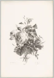 Roses et fleurs en forme de calice (série: Études de fleurs et de fruits, 10e livraison)