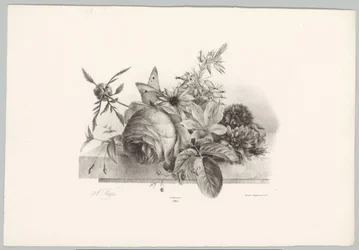 Roses, lys, fleurs en forme de cloche et papillon