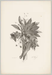 Fleurs en forme d