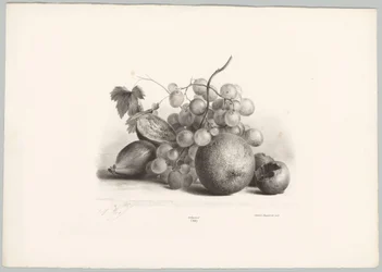 Figues, raisins et orange (Bloem en Fruit Studien, 10e aflevering)