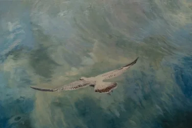 Ailes de mouette déployées, 2012