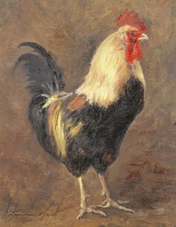 Le Coq, 1999